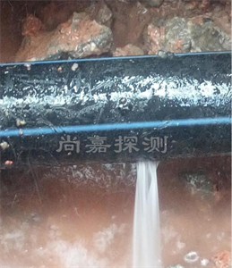 二七消防管道漏点探测